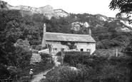 Rousdon, Landslip Cottage 1903