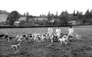 Wormelow, the South Hereford Fox Hounds c1960