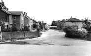Heslington, Hall Park c1965