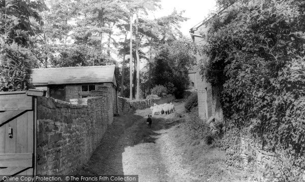 Longtown, Roman Road c1960