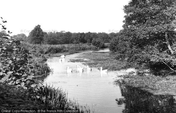 North Walsham, Old Canal from Bactonwood Bridge c1955