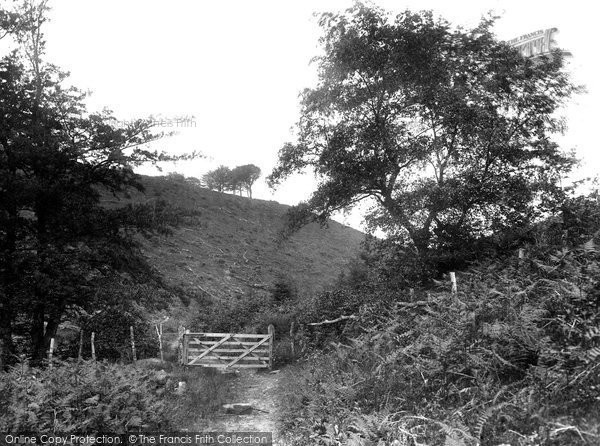 Crowcombe, the Quantock Gate 1929