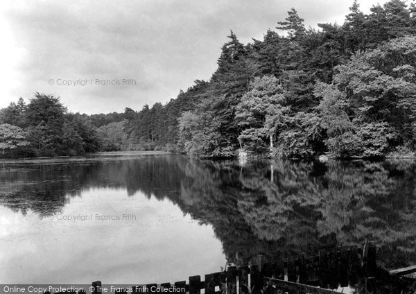 St Leonards Forest, Hammer Ponds, Furnace Ponds 1927