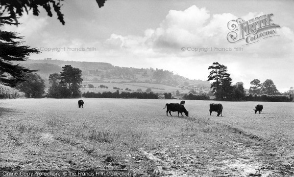 Little Comberton, Bredon Hill c1955.  (Neg. L216001)  Â© Copyright The Francis Frith Collection 2008. http://www.francisfrith.com