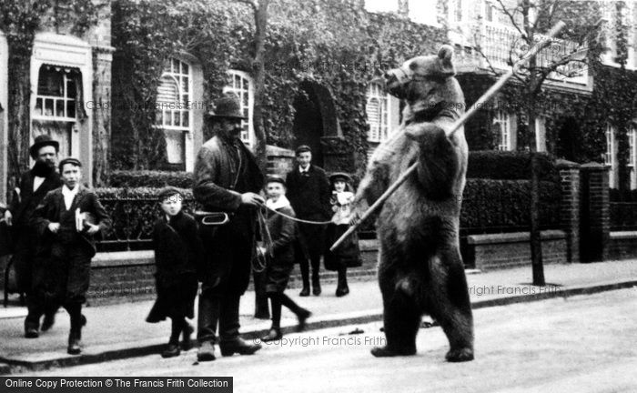 Photo of London, Dancing Bear 1895, ref. L130108