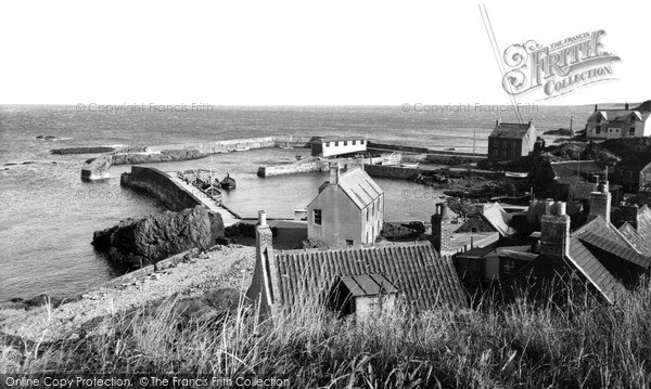 Photo of St Abbs, the Harbour from the Cliffs c1955, ref. s416011