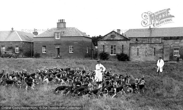 Photo of St Boswells, the Buccleuch Hounds c1955, ref. s417010
